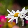 July 28th