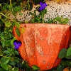 Photos of the Day - July 24, 2009, #19