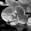Photos of the Day - July 24, 2009, #22
