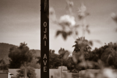 Treasures from Ojai