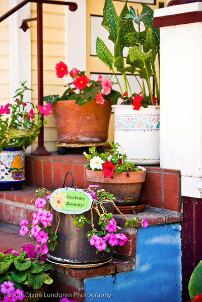 Photo of the Day - June 6, 2009 'lots of pots' to 'celebrate summer'
