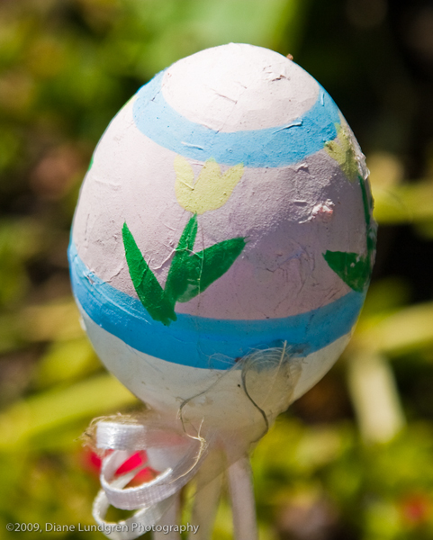 Photo of the Day - June 9, 2009 Easter in June!