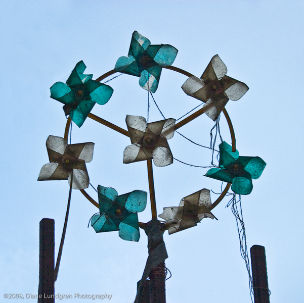 Photo of the Day - June 16, 2009 pinwheels