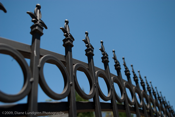 Photo of the Day - June 27, 2009, #1 iron fence