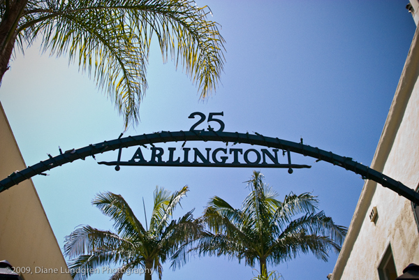 Photo of the Day - July 1, 2009 25 Arlington Avenue