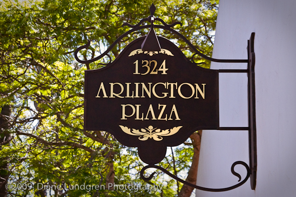 Photo of the Day - July 1, 2009, #2 Arlington Plaza