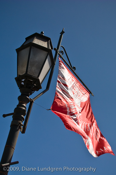 Photo of the Day - July 1, 2009 street lamp and flag