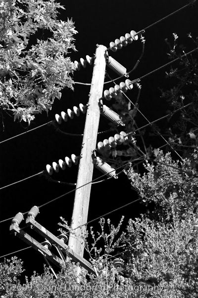 Photo of the Day - July 9, 2009, #2 infrared: man made art?