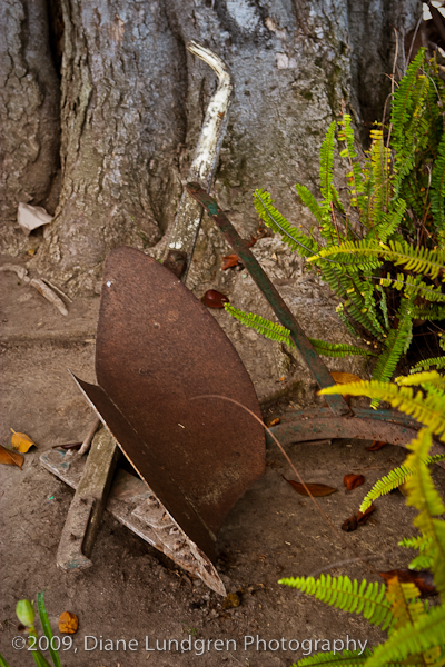 Photo of the Day - July 30, 2009, #1 an old plough