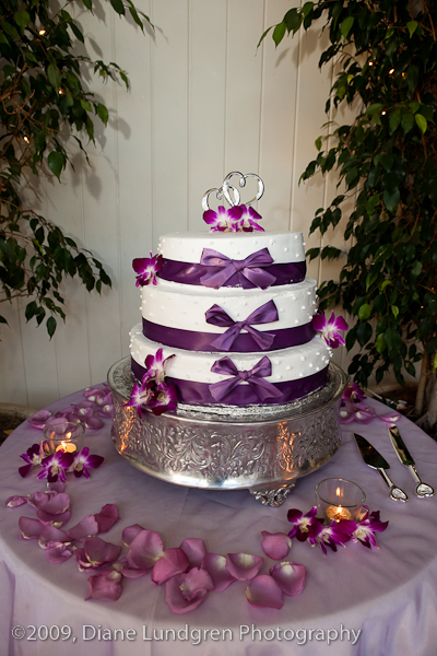 Elsie and Ben Bohorquez, #19 the cake - on display as guest walked through the front door instead of being hidden in a corner somewhere - thought this was a gret idea
