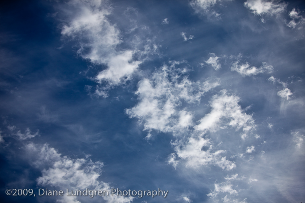 Photo of the Day - August 3, 2009 8:00 am