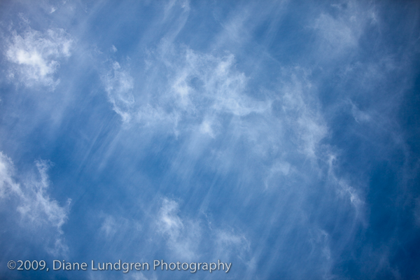 Photo of the Day - August 3, 2009 9:00 am