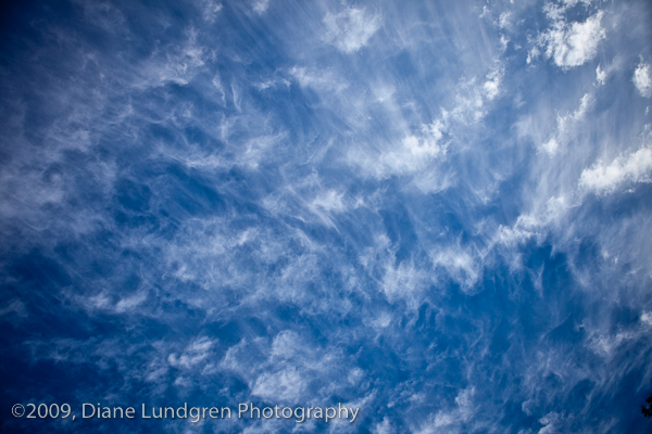Photo of the Day - August 3, 2009 8:15am