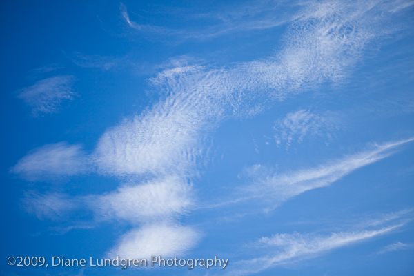 Photo of the Day - August 3, 2009 10:00 am