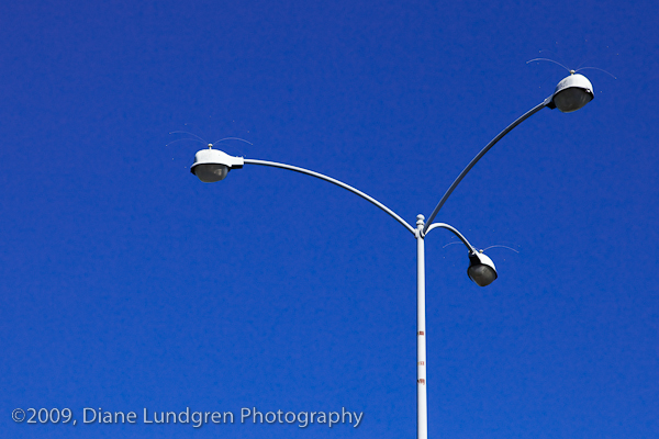 street lamps at Gelson's Market