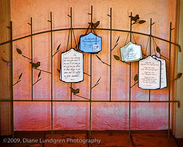 Photo of the Day - August 6, 2009 notes on the fence