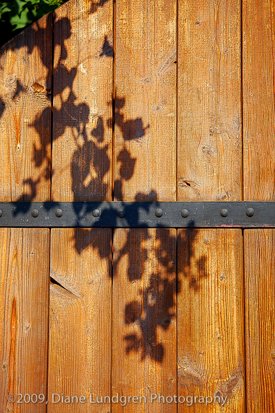 shadows from the overhanging bougainvilla