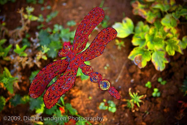 yet another dragonfly, rusted in place